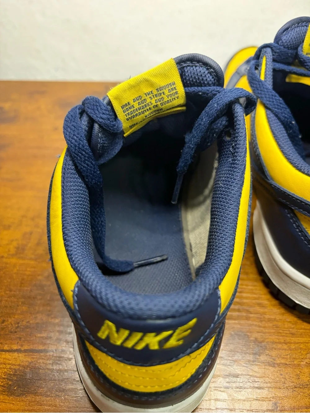 Nike Kids Dunk Low 